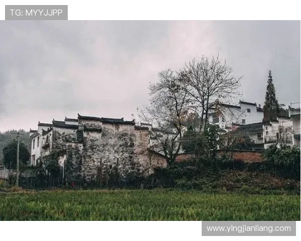 畅享金喜真人娱乐：如何提升你的游戏技巧与胜率