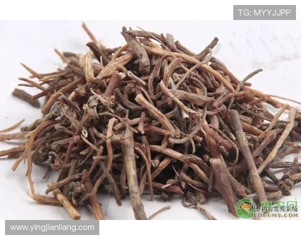 凯发旗舰厅手机版:客户服务与技术支持渠道,快速解决使用中遇到的问题