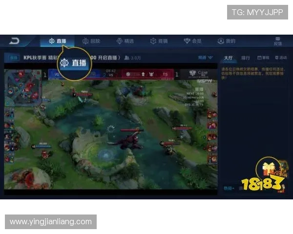 AGVIP官网官方平台详细介绍,提供最全的注册登录指南与最新优惠活动