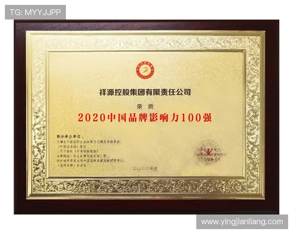 打造专业化视讯官网提升品牌影响力的实用策略与建议